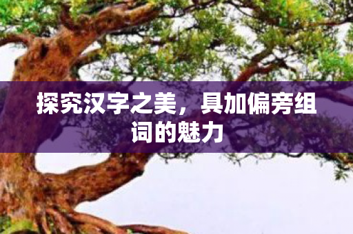 具加偏旁组词的魅力图片