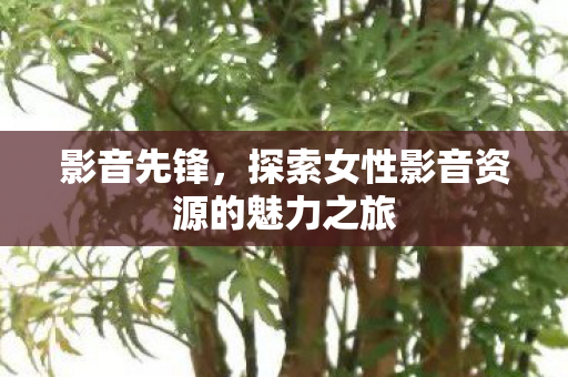 探索女性影音资源的魅力之旅图片