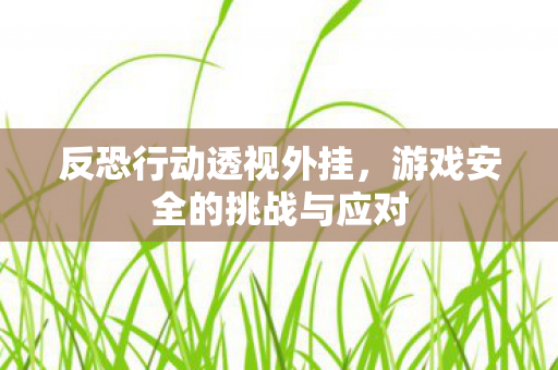 游戏安全的挑战与应对图片