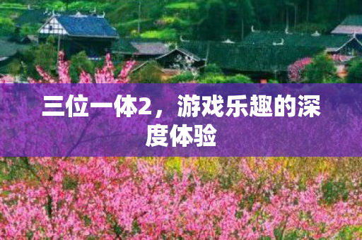 游戏乐趣的深度体验图片