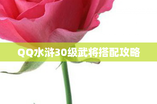 QQ水浒30级武将搭配攻略图片
