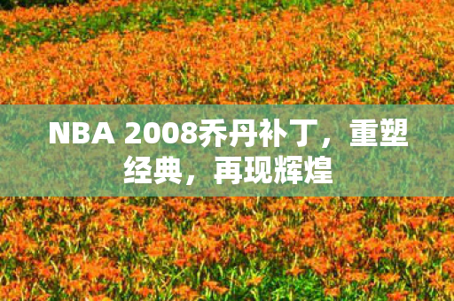 NBA 2008乔丹补丁图片