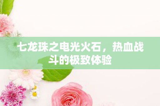 热血战斗的极致体验图片