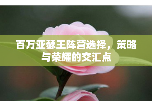 百万亚瑟王阵营选择图片