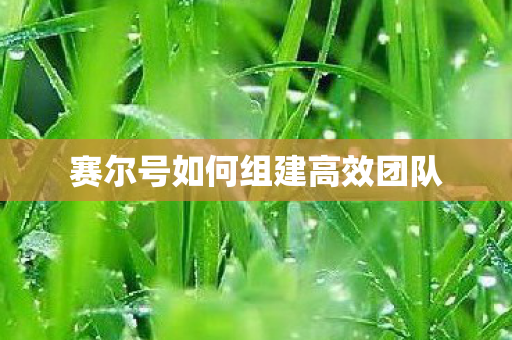 赛尔号如何组建高效团队图片