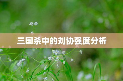 三国杀中的刘协强度分析图片