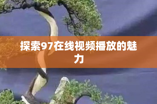 探索97在线视频播放的魅力图片