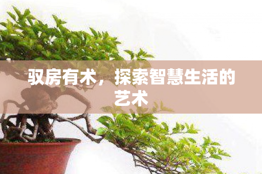 探索智慧生活的艺术图片