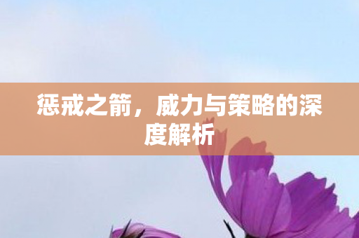 威力与策略的深度解析图片