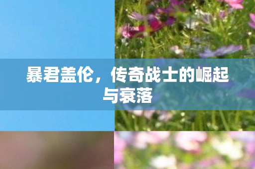 传奇战士的崛起与衰落图片
