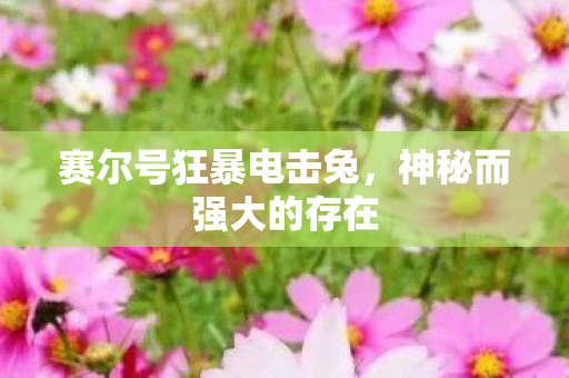 赛尔号狂暴电击兔图片