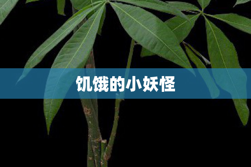 饥饿的小妖怪图片