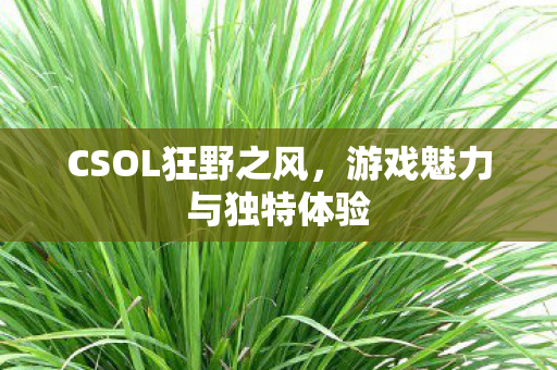 游戏魅力与独特体验图片