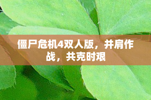 僵尸危机4双人版图片