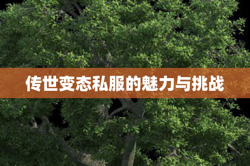 传世变态私服的魅力与挑战图片