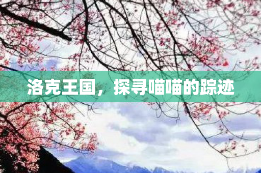 探寻喵喵的踪迹图片