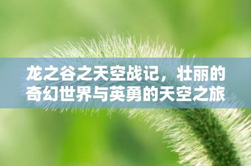 壮丽的奇幻世界与英勇的天空之旅图片