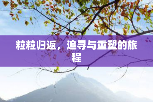追寻与重塑的旅程图片