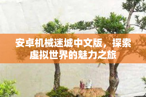 探索虚拟世界的魅力之旅图片