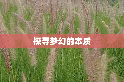 探寻梦幻的本质图片