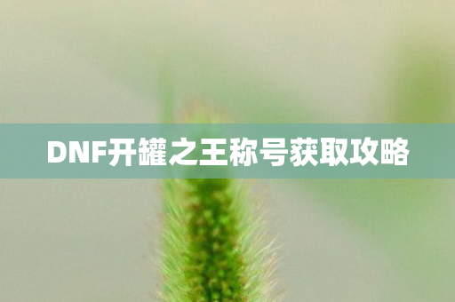 DNF开罐之王称号获取攻略图片