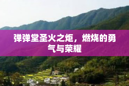 燃烧的勇气与荣耀图片