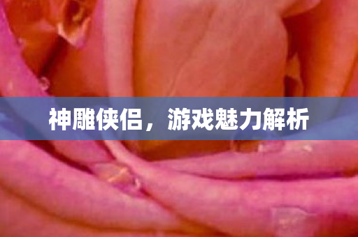 游戏魅力解析图片