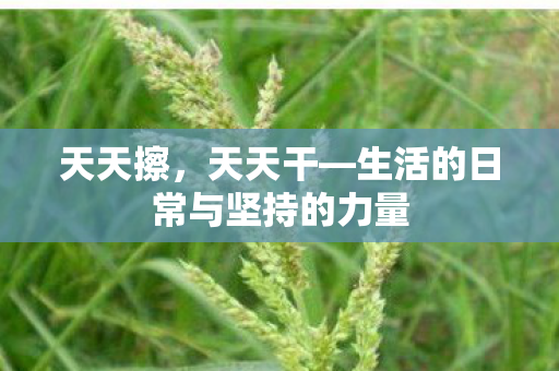 生活的日常与坚持的力量图片