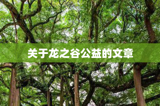 关于龙之谷公益的文章图片