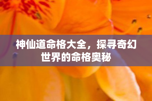 探寻奇幻世界的命格奥秘图片