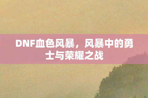 风暴中的勇士与荣耀之战图片