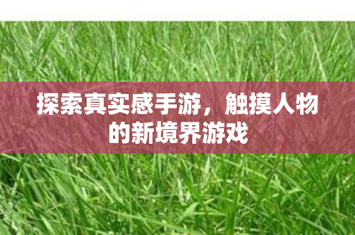 触摸人物的新境界游戏图片