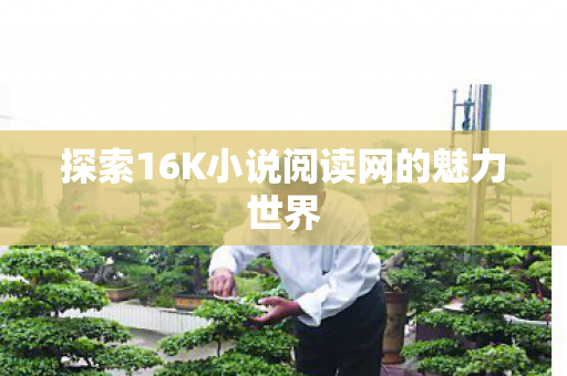 探索16K小说阅读网的魅力世界图片