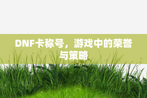 游戏中的荣誉与策略图片