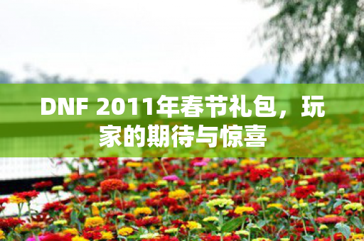 DNF 2011年春节礼包图片