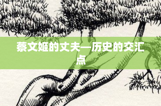蔡文姬的丈夫图片