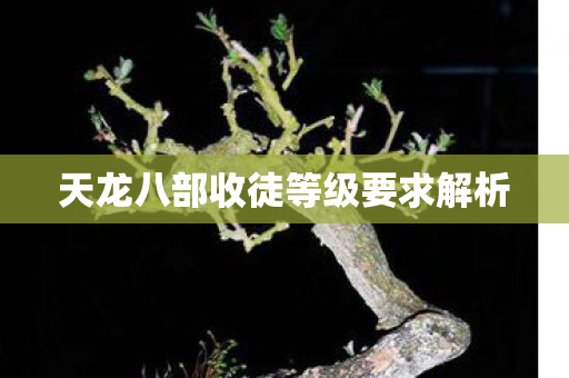 天龙八部收徒等级要求解析图片