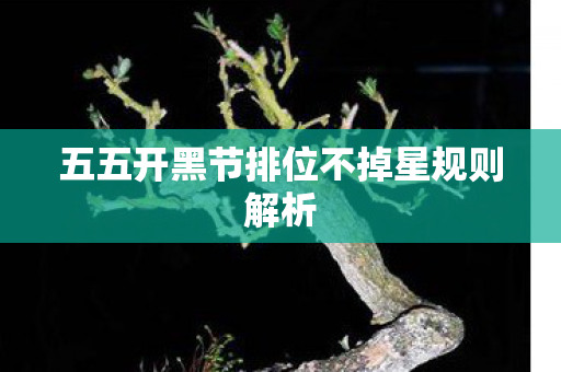 五五开黑节排位不掉星规则解析图片