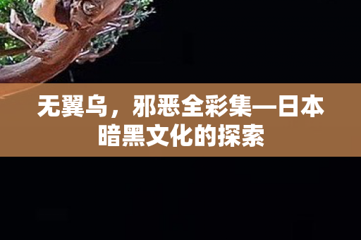 日本暗黑文化的探索图片