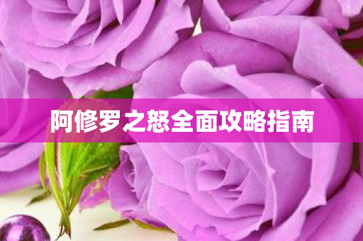 阿修罗之怒全面攻略指南图片