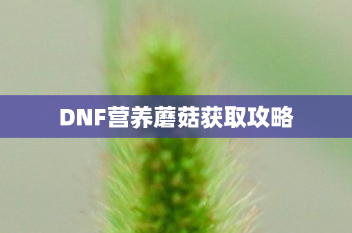 DNF营养蘑菇获取攻略图片