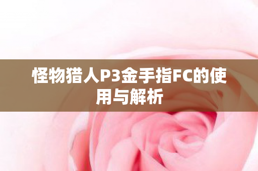 怪物猎人P3金手指FC的使用与解析图片