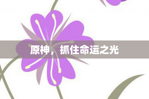 抓住命运之光图片