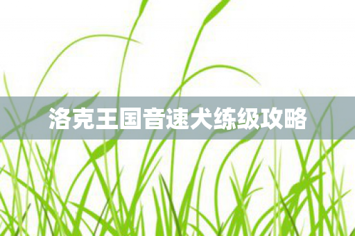 洛克王国音速犬练级攻略图片