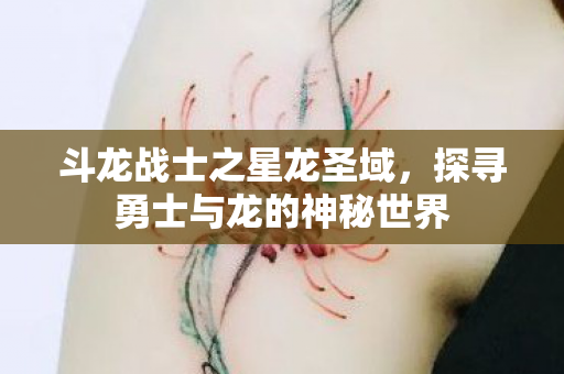 探寻勇士与龙的神秘世界图片