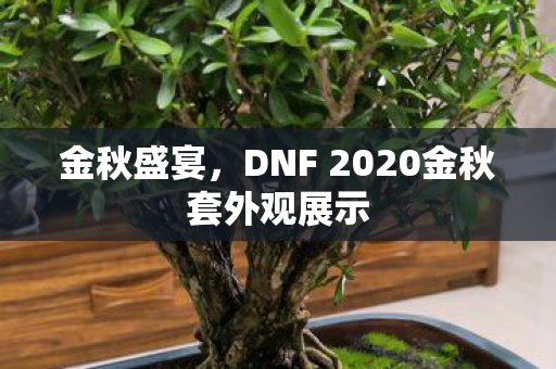 DNF 2020金秋套外观展示图片