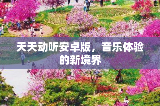 音乐体验的新境界图片