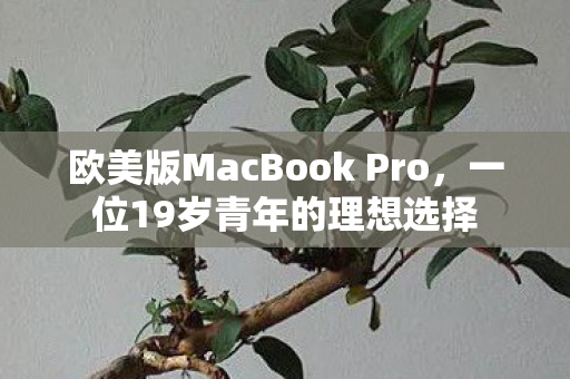 欧美版MacBook Pro图片