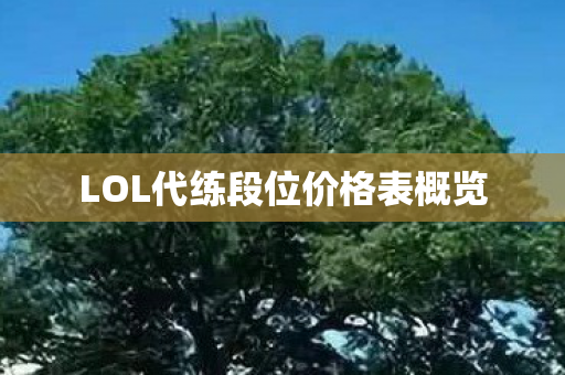 LOL代练段位价格表概览图片