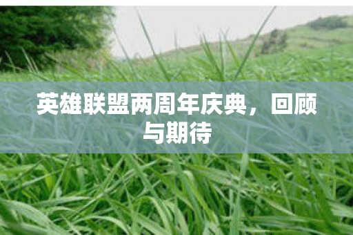 英雄联盟两周年庆典图片